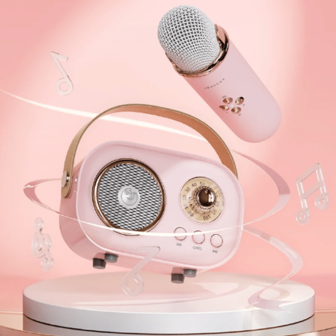 Haut-Parleur Bluetooth Karaoké Portable avec Mini Micros Offerts