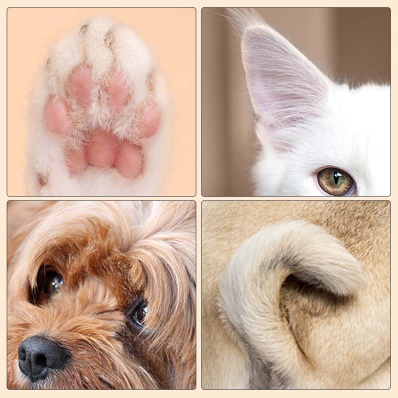 Tondeuse Silencieuse Portable pour Animaux