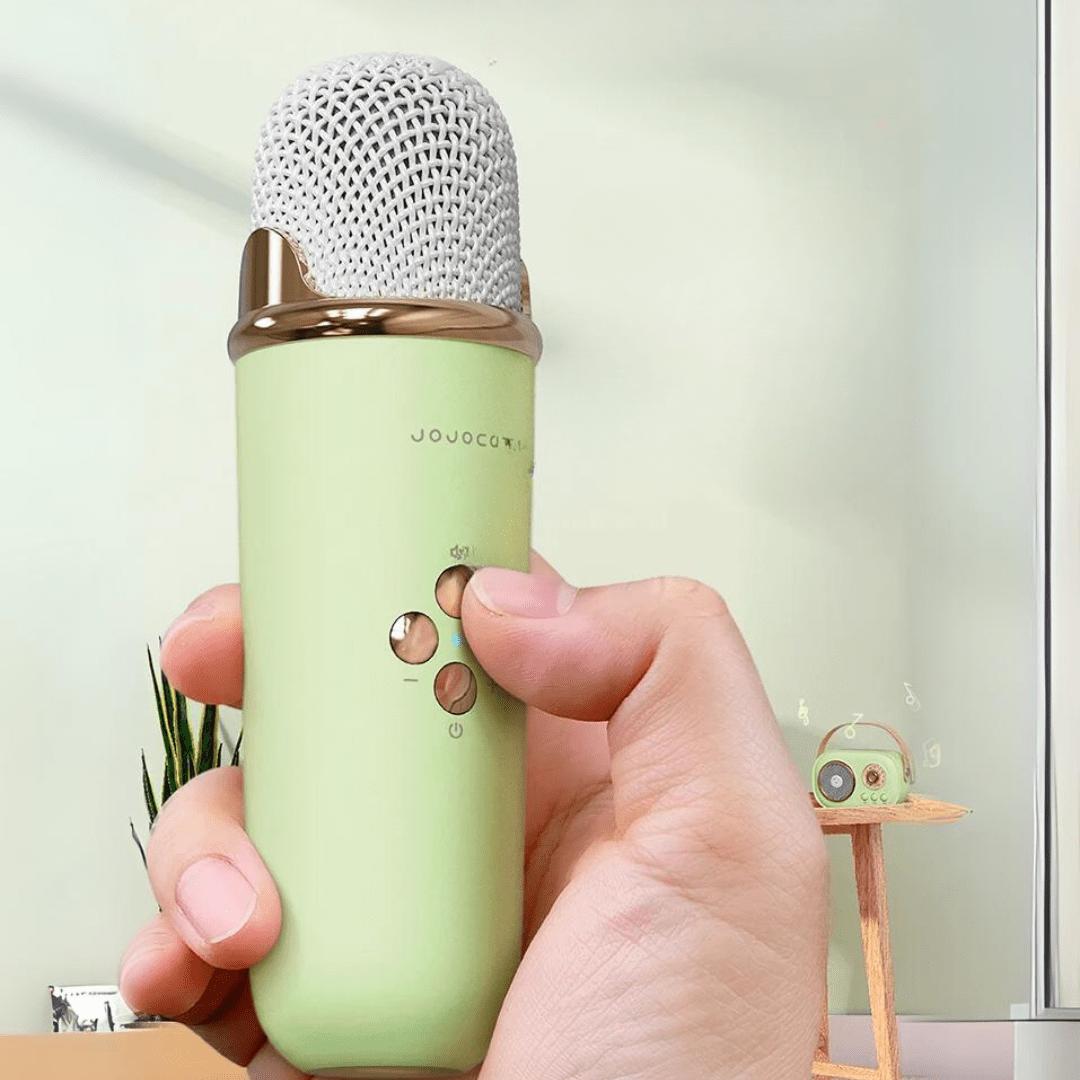 Haut-Parleur Bluetooth Karaoké Portable avec Mini Micros Offerts