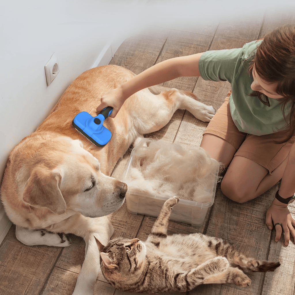 Brosse Démêlante Ultra-Souple pour Animaux