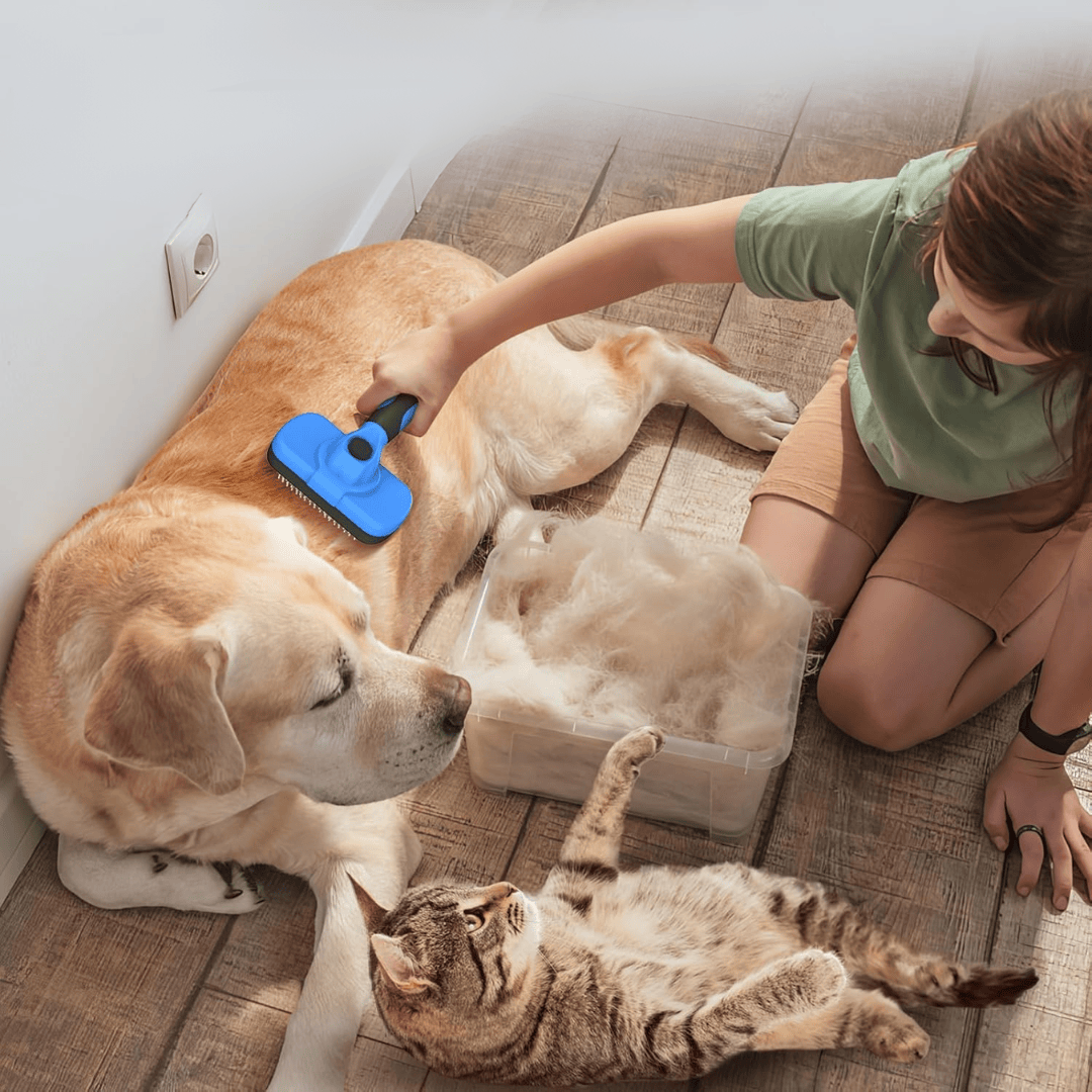 Brosse Démêlante Ultra-Souple pour Animaux