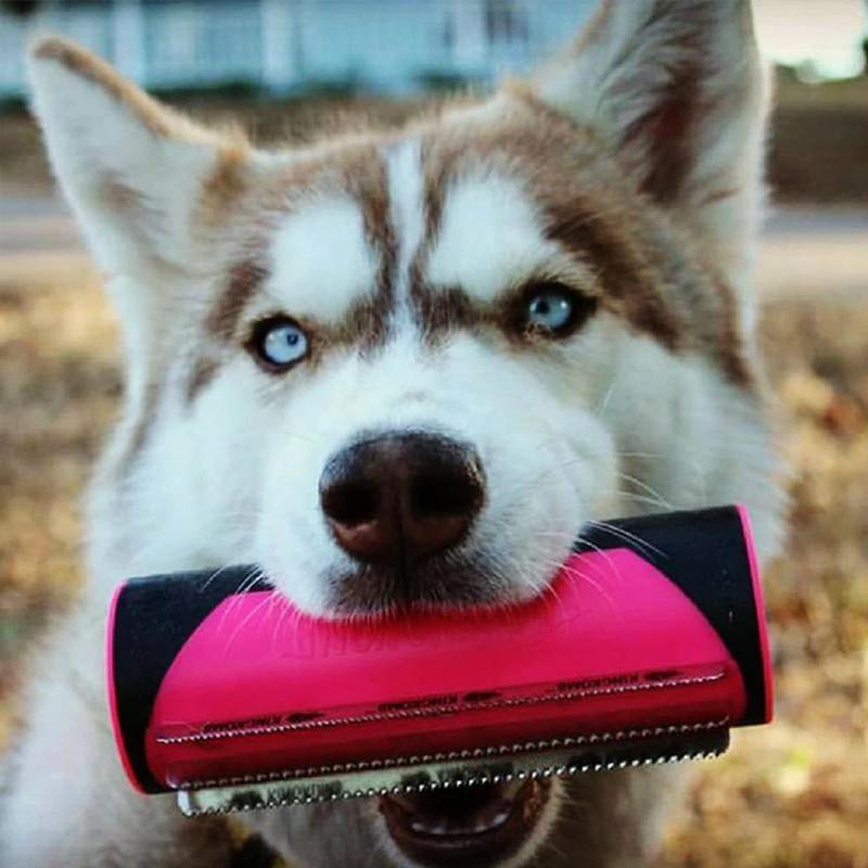 Brosse à Poils en Caoutchouc Rétractable avec 3 Lames pour Animaux