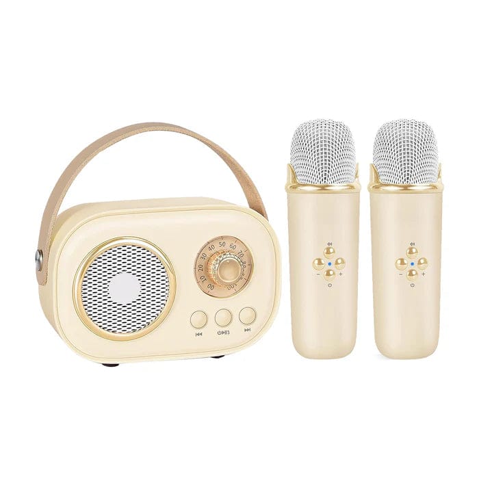Haut-Parleur Bluetooth Karaoké Portable avec Mini Micros Offerts