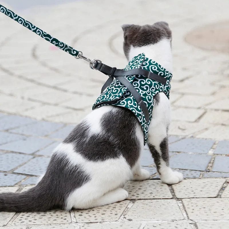 Harnais Ajustable Premium pour Chat avec Laisse Offerte