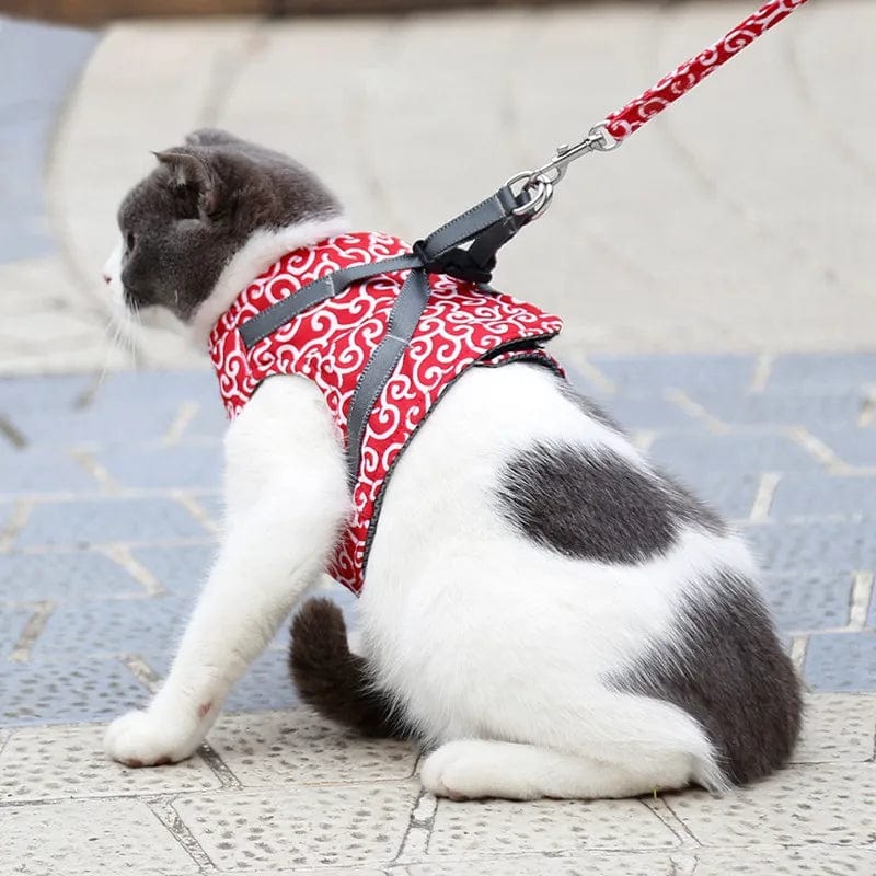 Harnais Ajustable Premium pour Chat avec Laisse Offerte