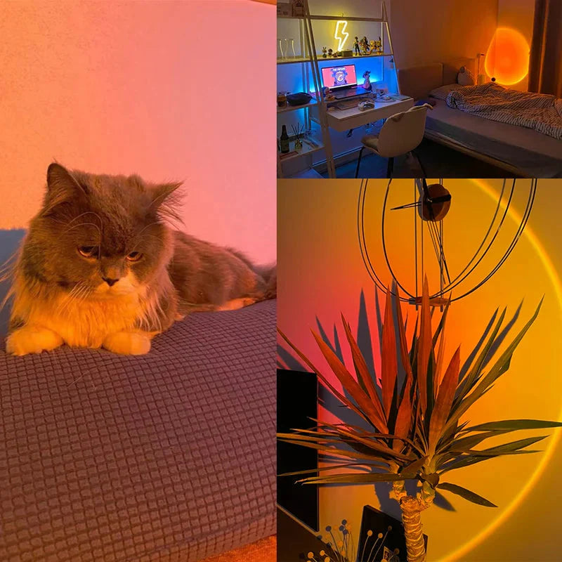 Lampe LED Coucher de Soleil Ma boutique