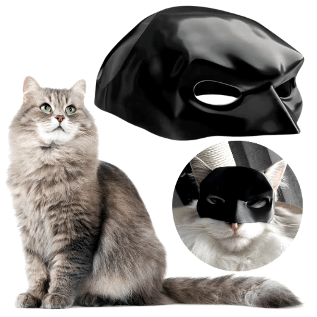 Masque Chauve-Souris Original pour Chat