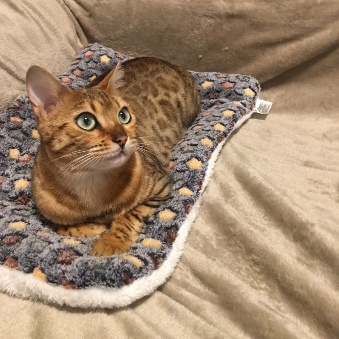 Couverture Apaisante Pour Chat - Maman Cadeau