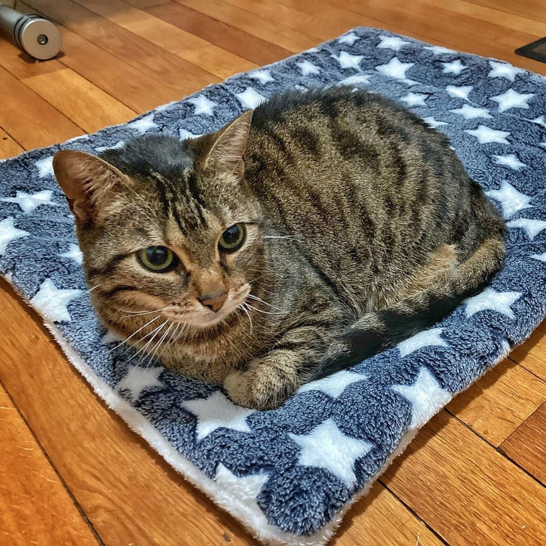 Couverture Apaisante Pour Chat - Maman Cadeau