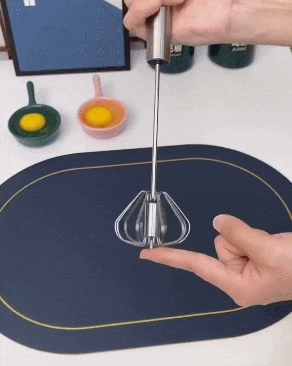 Fouet Automatique Révolutionnaire en Acier Inoxydable