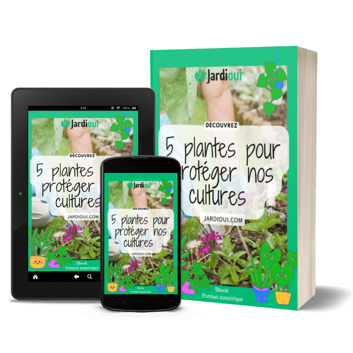 5 plantes pour protéger nos cultures - Ebook