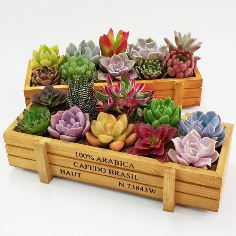 Cache-pot design en bois