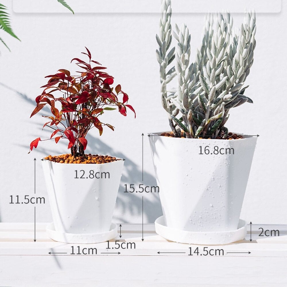 Pots de fleurs moderne