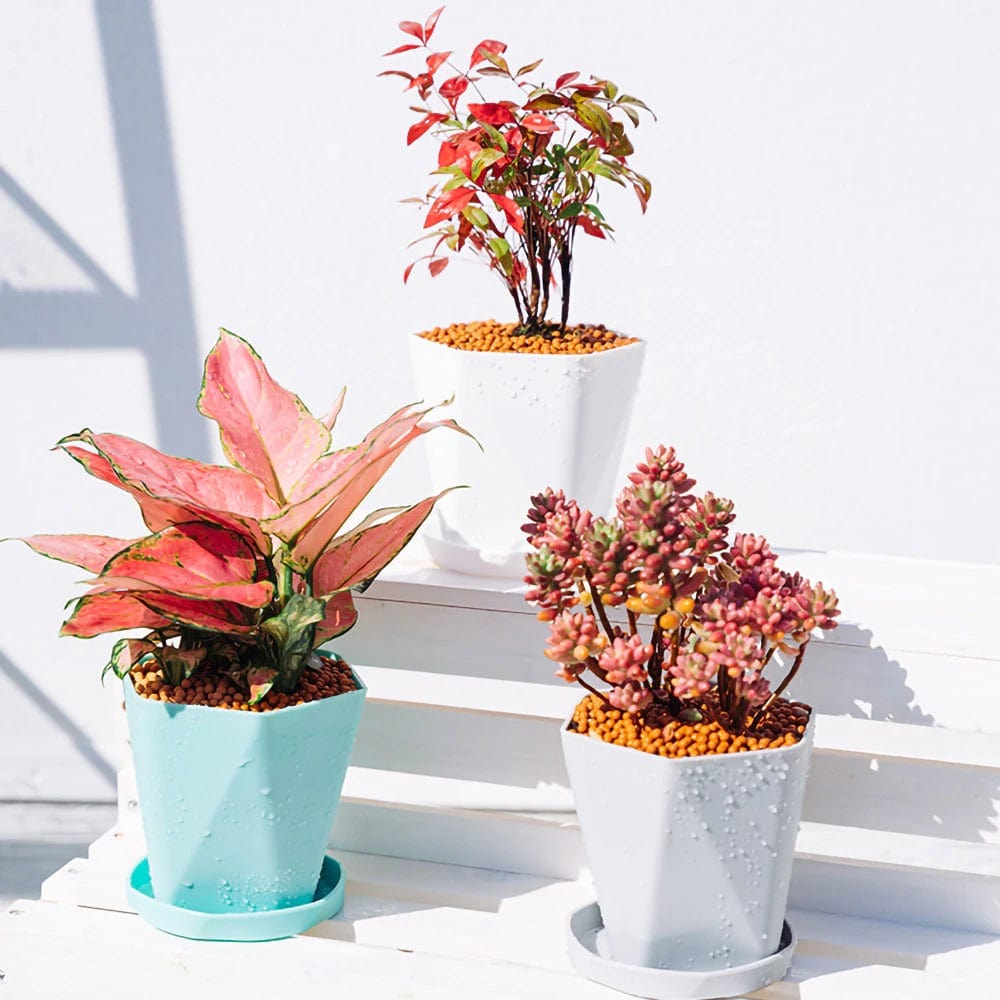 Pots de fleurs moderne