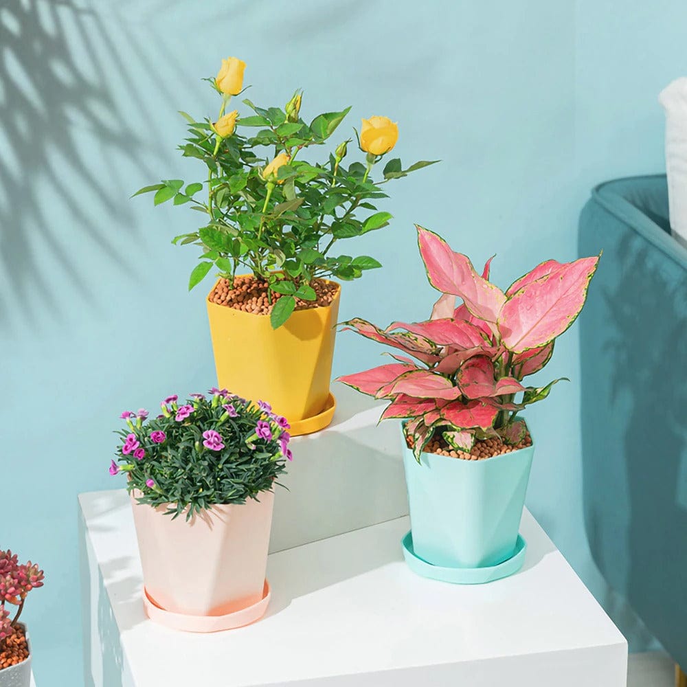 Pots de fleurs moderne