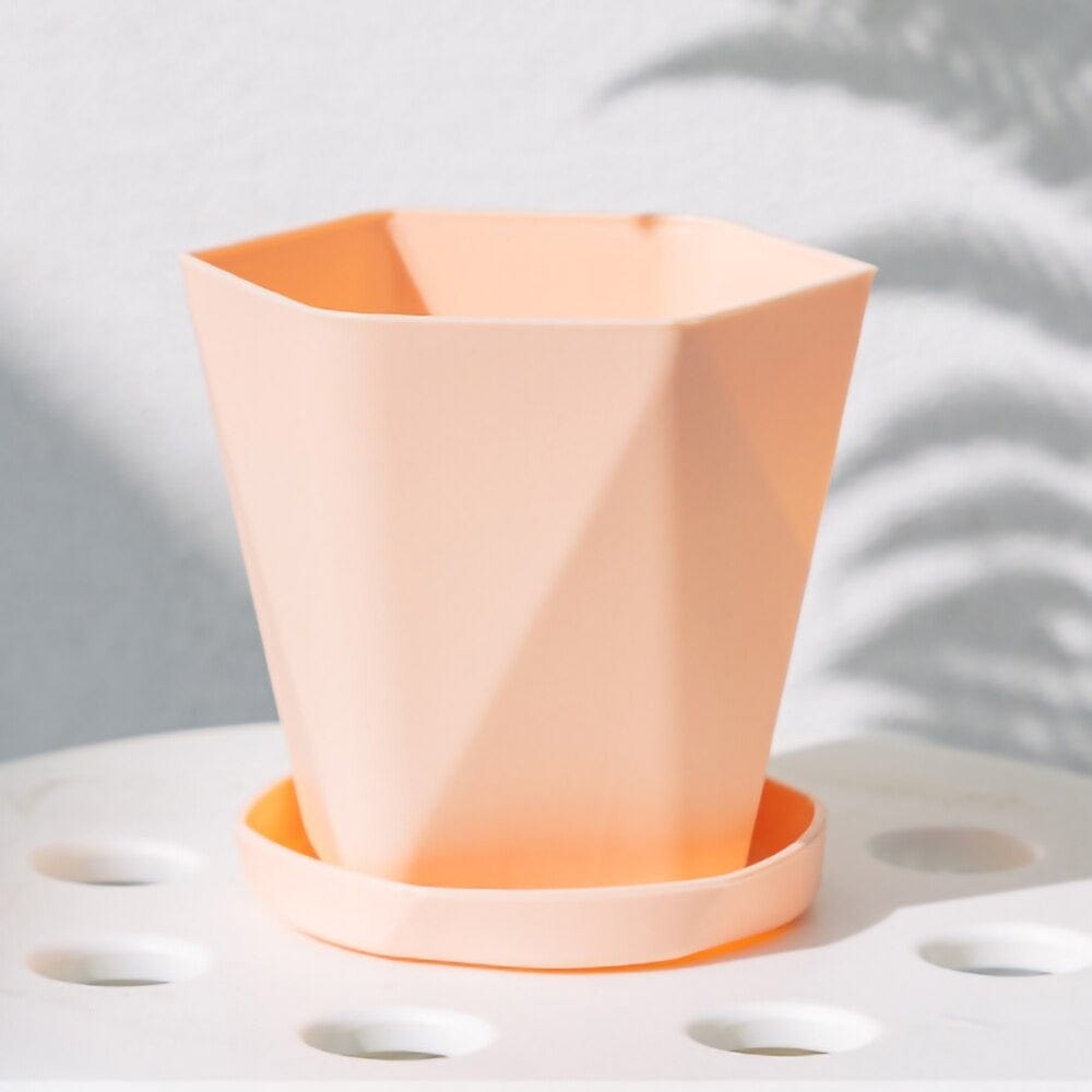 Pots de fleurs moderne