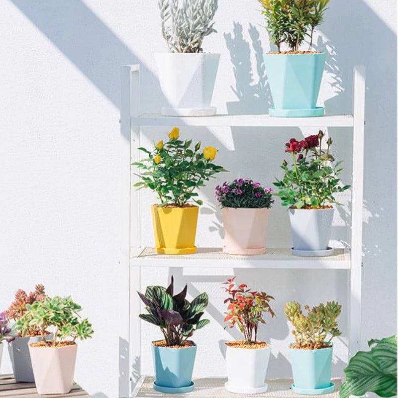 Pots de fleurs moderne