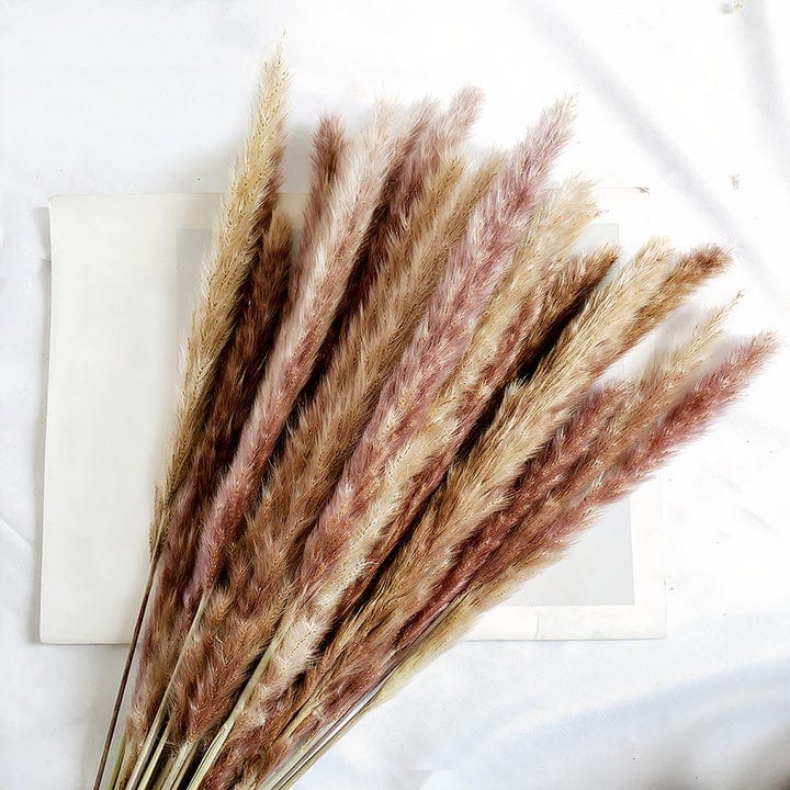 Bouquet de Pampas Décoratives - Maman Cadeau