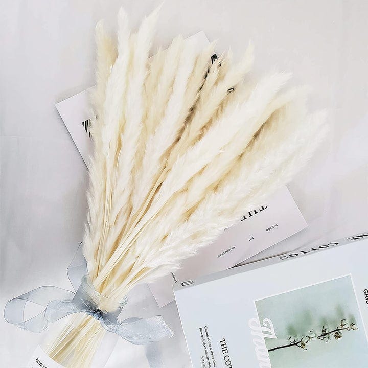 Bouquet de Pampas Décoratives - Maman Cadeau