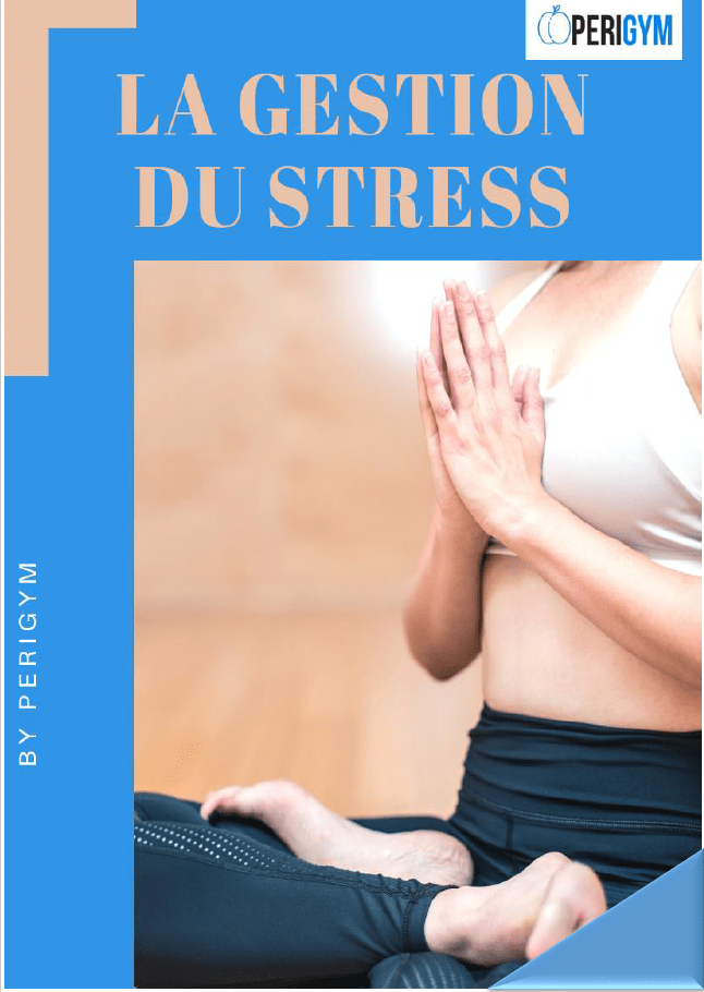 Techniques et stratégies de gestion du stress - Ebook